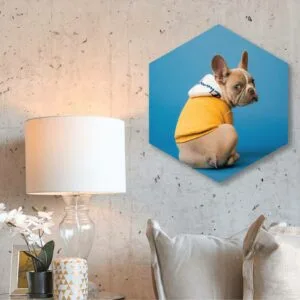 Canvas Hexagonal 14x16